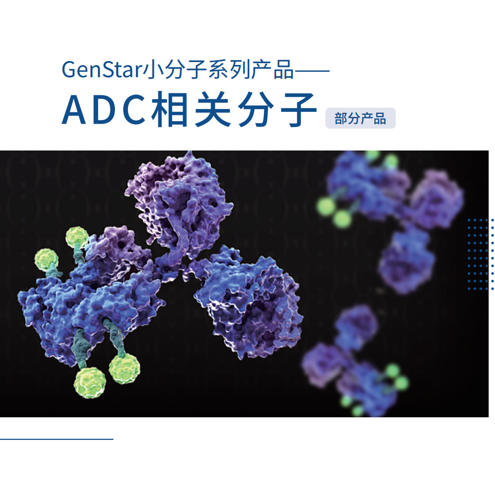 小分子系列-ADC相關(guān)分子